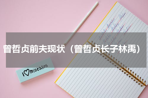 曾哲贞前夫现状（曾哲贞长子林禹）
