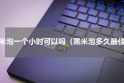 黑米泡一个小时可以吗（黑米泡多久最佳）