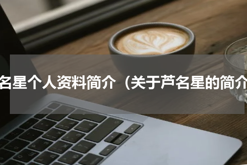芦名星个人资料简介（关于芦名星的简介）
