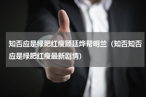 知否应是绿肥红瘦顾廷烨帮明兰（知否知否应是绿肥红瘦最新剧情）