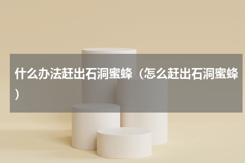 什么办法赶出石洞蜜蜂（怎么赶出石洞蜜蜂）