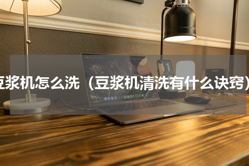 豆浆机怎么洗（豆浆机清洗有什么诀窍）