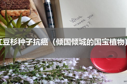 红豆杉种子抗癌（倾国倾城的国宝植物）
