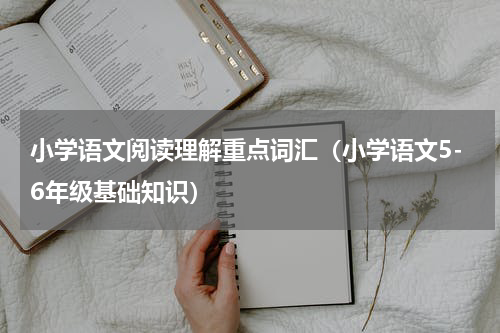 小学语文阅读理解重点词汇（小学语文5-6年级基础知识）