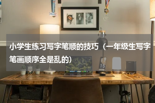 小学生练习写字笔顺的技巧（一年级生写字笔画顺序全是乱的）
