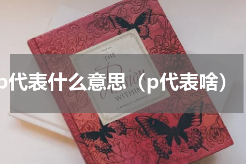 p代表什么意思（p代表啥）