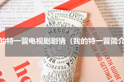 我的特一营电视剧剧情（我的特一营简介）