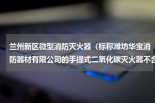兰州新区微型消防灭火器（标称潍坊华宝消防器材有限公司的手提式二氧化碳灭火器不合格）