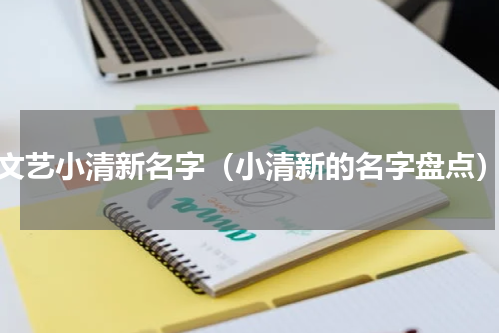 文艺小清新名字（小清新的名字盘点）