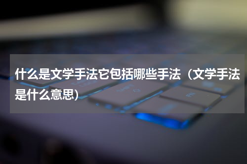 什么是文学手法它包括哪些手法（文学手法是什么意思）