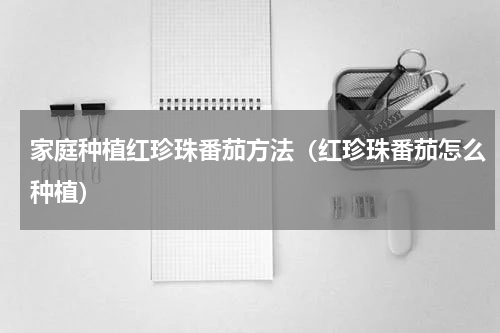 家庭种植红珍珠番茄方法（红珍珠番茄怎么种植）