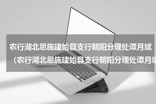 农行湖北恩施建始县支行朝阳分理处谭月斌（农行湖北恩施建始县支行朝阳分理处谭月斌）