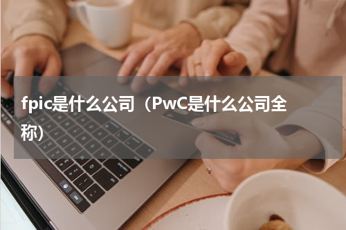 fpic是什么公司（PwC是什么公司全称）