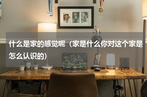 什么是家的感觉呢（家是什么你对这个家是怎么认识的）