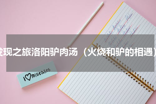 发现之旅洛阳驴肉汤（火烧和驴的相遇）