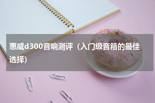 惠威d300音响测评（入门级音箱的最佳选择）