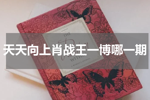 天天向上肖战王一博哪一期