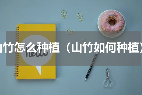 山竹怎么种植（山竹如何种植）