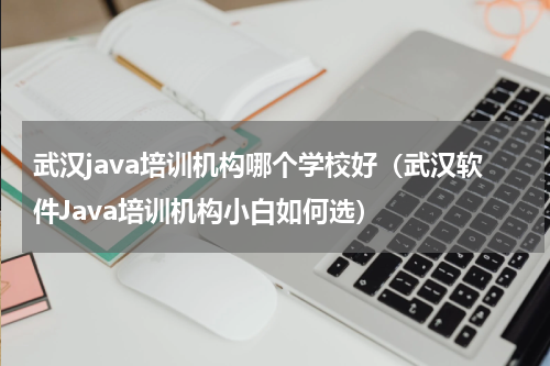 武汉java培训机构哪个学校好（武汉软件Java培训机构小白如何选）