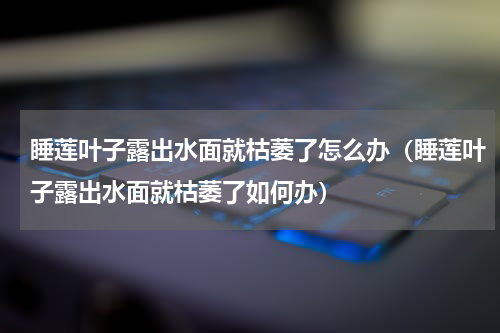 睡莲叶子露出水面就枯萎了怎么办（睡莲叶子露出水面就枯萎了如何办）