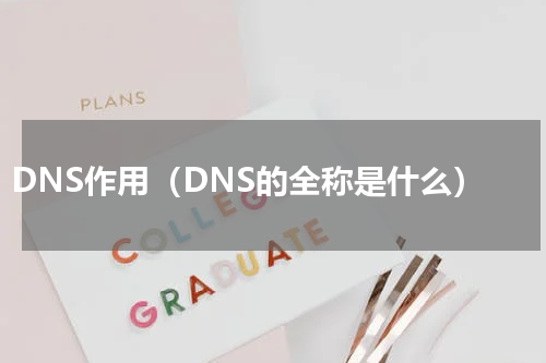 DNS作用（DNS的全称是什么）