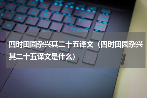四时田园杂兴其二十五译文（四时田园杂兴其二十五译文是什么）