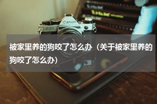被家里养的狗咬了怎么办（关于被家里养的狗咬了怎么办）