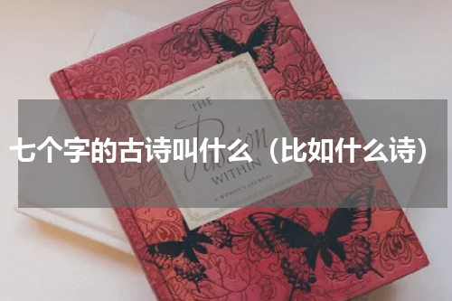七个字的古诗叫什么（比如什么诗）