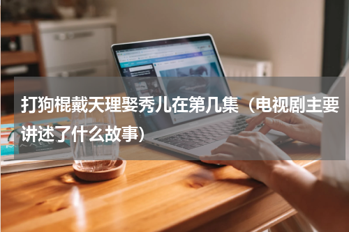 打狗棍戴天理娶秀儿在第几集（电视剧主要讲述了什么故事）