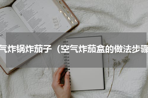 空气炸锅炸茄子（空气炸茄盒的做法步骤）