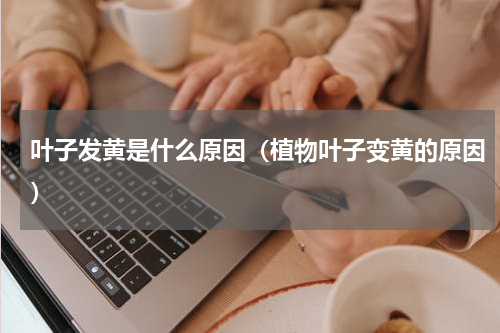 叶子发黄是什么原因（植物叶子变黄的原因）