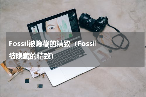 Fossil被隐藏的精致（Fossil被隐藏的精致）