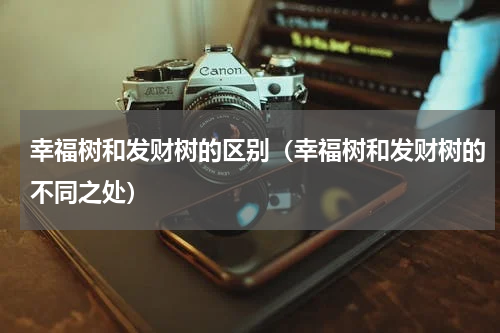幸福树和发财树的区别（幸福树和发财树的不同之处）