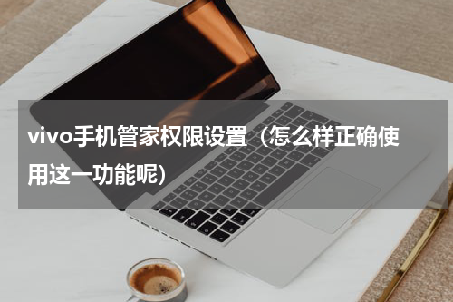 vivo手机管家权限设置（怎么样正确使用这一功能呢）