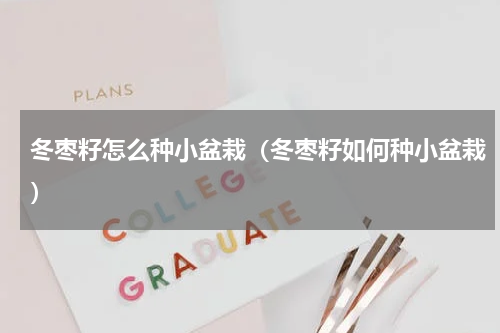 冬枣籽怎么种小盆栽（冬枣籽如何种小盆栽）