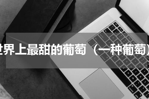 世界上最甜的葡萄（一种葡萄）