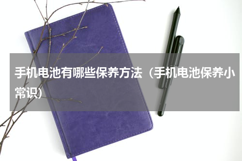 手机电池有哪些保养方法（手机电池保养小常识）