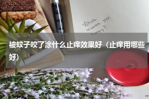 被蚊子咬了涂什么止痒效果好（止痒用哪些好）