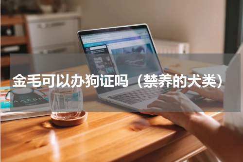 金毛可以办狗证吗（禁养的犬类）