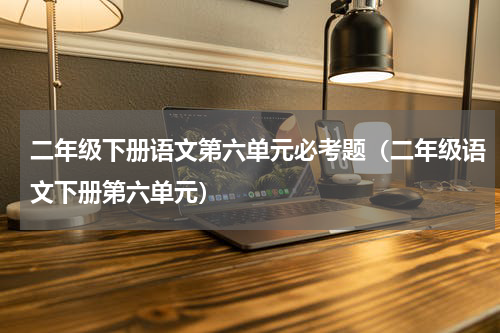 二年级下册语文第六单元必考题（二年级语文下册第六单元）