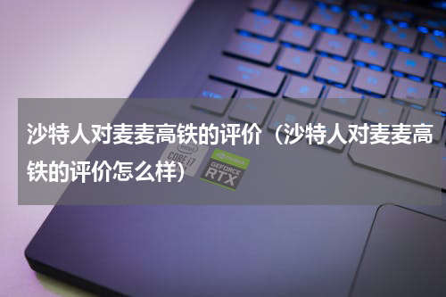 沙特人对麦麦高铁的评价（沙特人对麦麦高铁的评价怎么样）