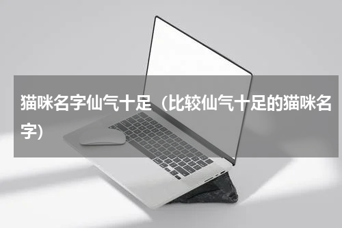 猫咪名字仙气十足（比较仙气十足的猫咪名字）