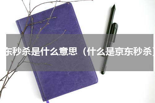 京东秒杀是什么意思（什么是京东秒杀）