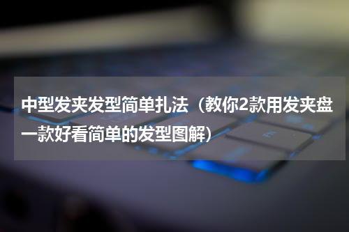 中型发夹发型简单扎法（教你2款用发夹盘一款好看简单的发型图解）