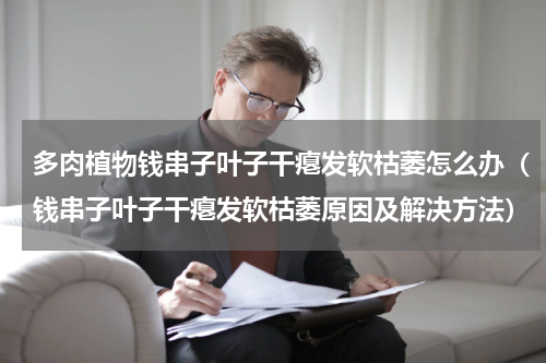 多肉植物钱串子叶子干瘪发软枯萎怎么办（钱串子叶子干瘪发软枯萎原因及解决方法）