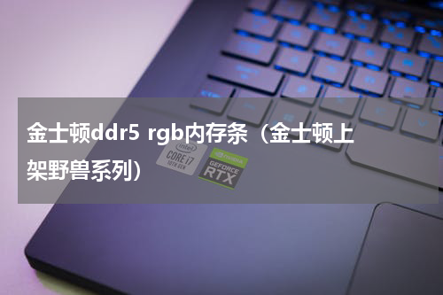 金士顿ddr5 rgb内存条（金士顿上架野兽系列）