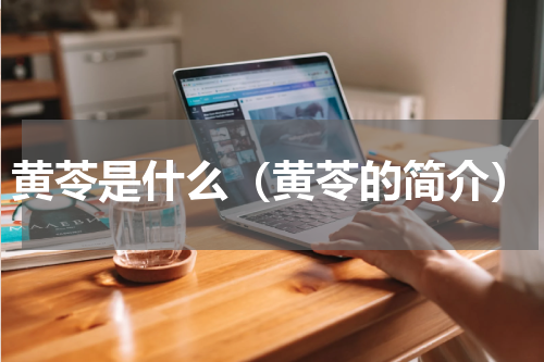 黄苓是什么（黄苓的简介）