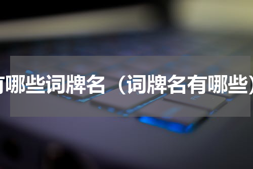 有哪些词牌名（词牌名有哪些）