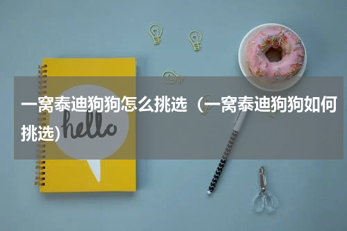 一窝泰迪狗狗怎么挑选（一窝泰迪狗狗如何挑选）