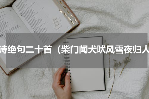 唐诗绝句二十首（柴门闻犬吠风雪夜归人）